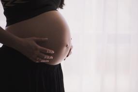 curso online de embarazo, parto y puerperio